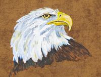 100-228 american eagle